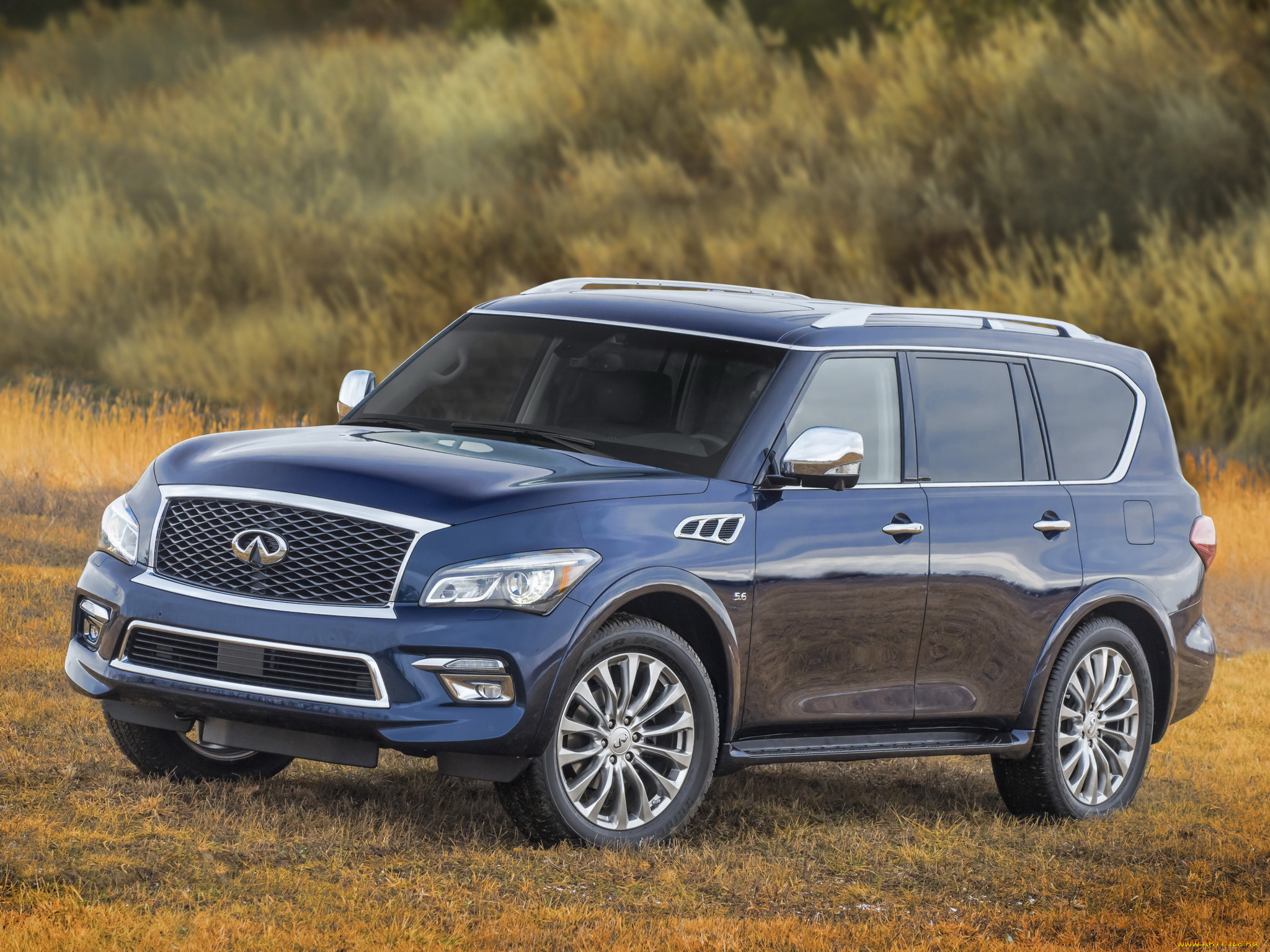 , infiniti, 2015, qx80, 5-6, z62